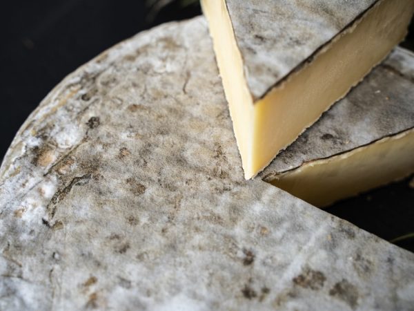 Saint Nectaire AOP | Fermier Online-Schn?ppchen – Bild 4