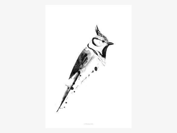 Print   Birdy No. 2 Verkauf